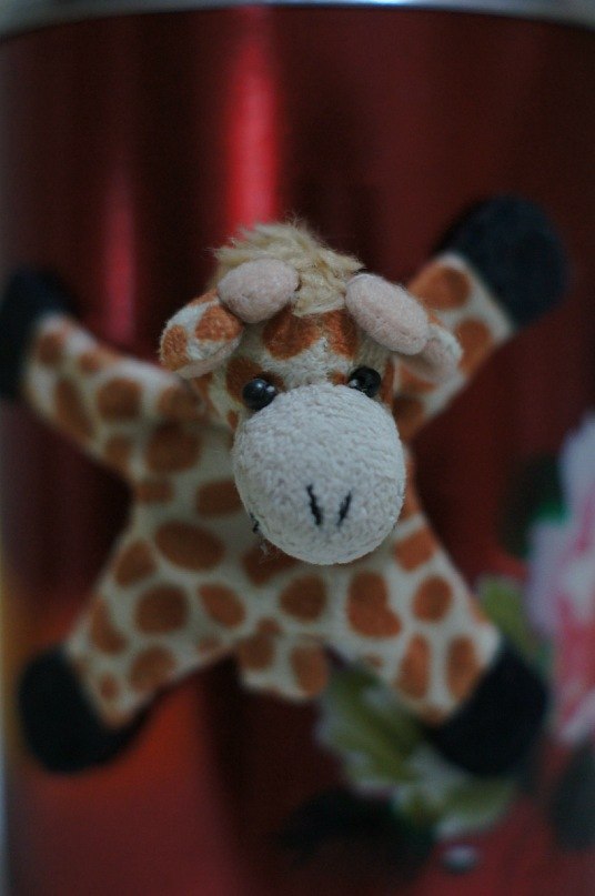 Наталия Бернашевская | Киев