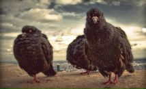 №27 Евгения Цвейбах : профиль, фото, статус - ВКонтакте