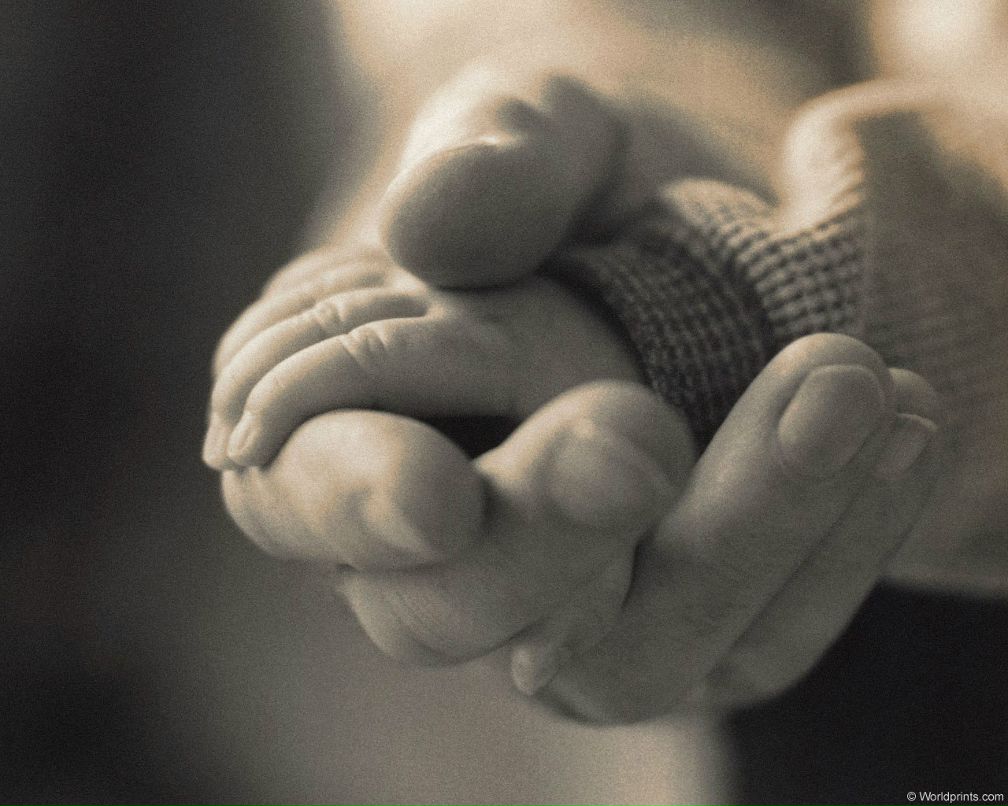 Владимир Дятчин | Липецк