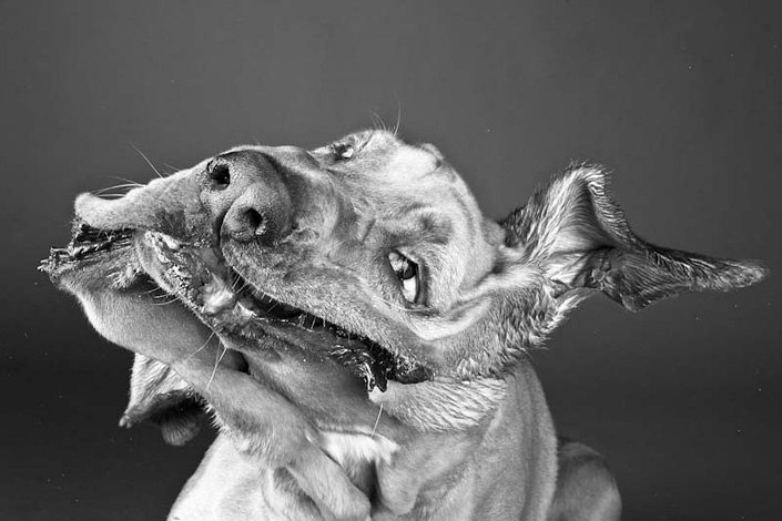 Зьмітрук Камянецкі _КDD_ | Kraków