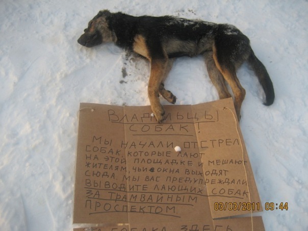 №10, Ирина Серебрянская №10, Ирина Серебрянская