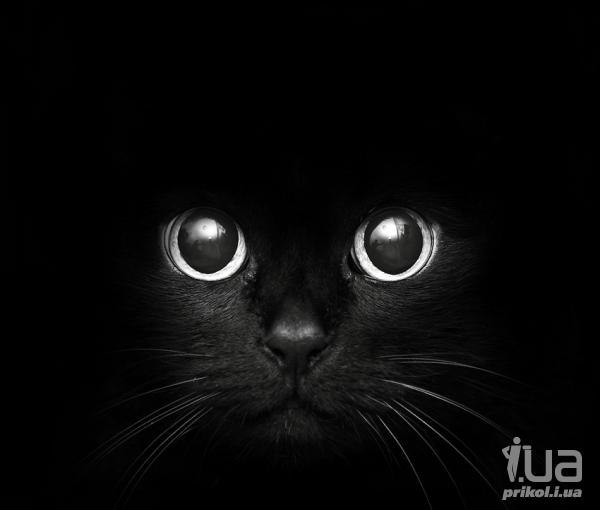 Наталия Коровякова | Сумы