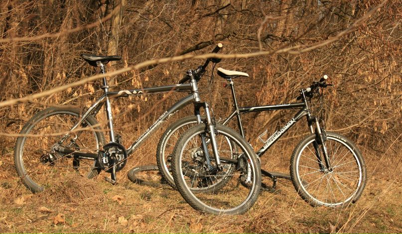 Руслан Гой [Rustal] | Бурштын