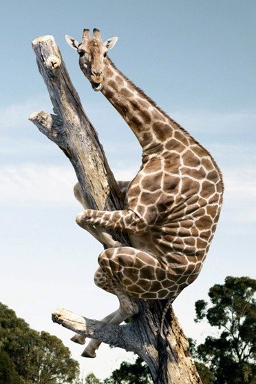 №20, Миша Сушик, 41 год, Харьков №20, Миша Сушик, 41 год, Харьков