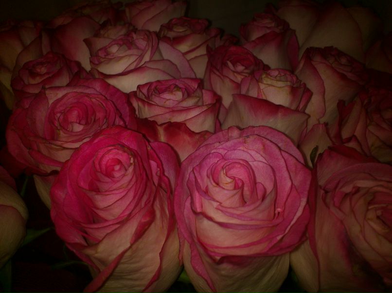 Лена Юшваева | Москва