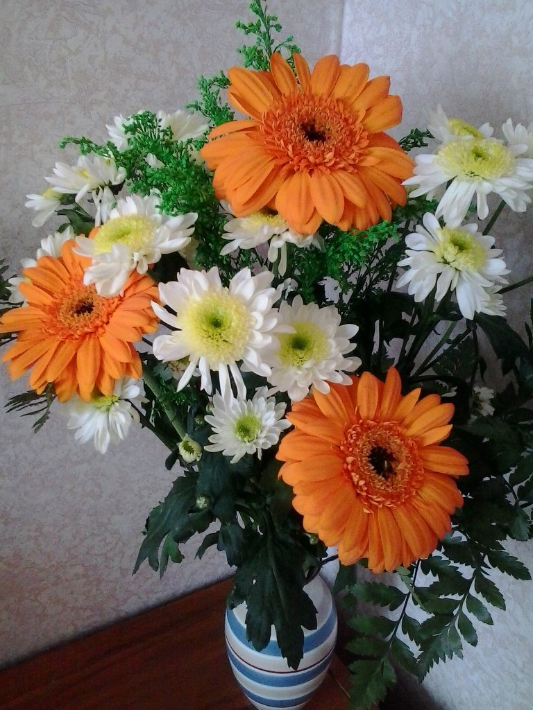 Ольга Пика | Санкт-Петербург