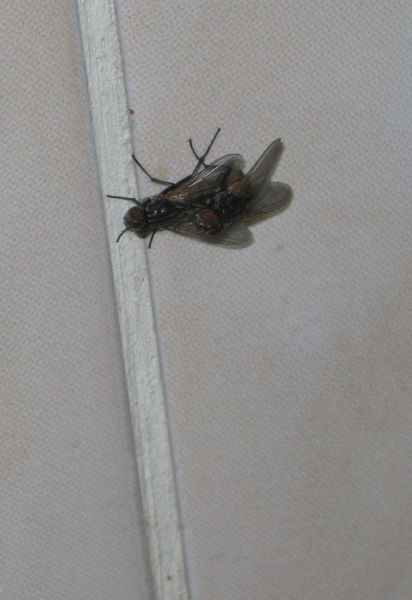 №28, Natasha Malkova, 35 лет, Екатеринбург, Россия №28, Natasha Malkova, 35 лет, Екатеринбург, Россия