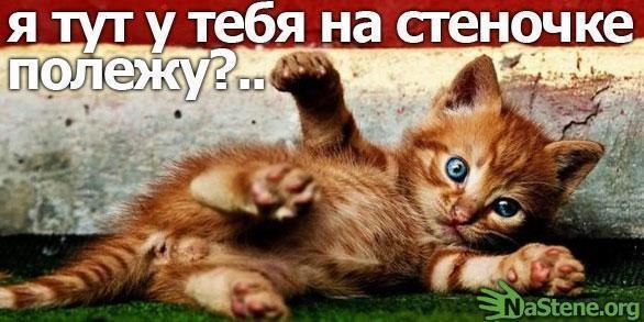 №3, Максим Пирогов, Одесса №3, Максим Пирогов, Одесса