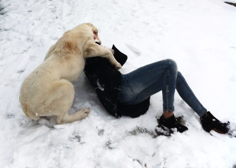 Алёна Дедикова | 