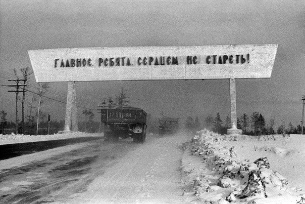 Антон Веденин | 