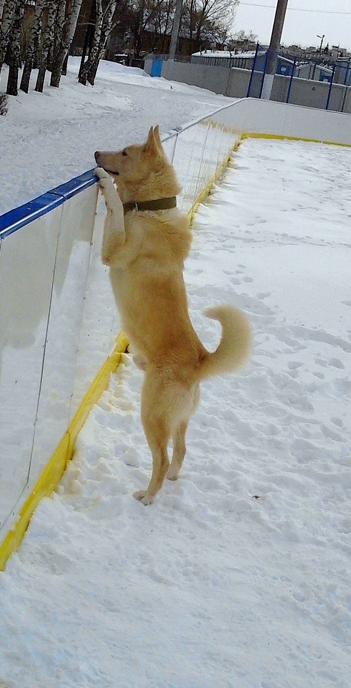 Kesha Polyakov | Тамбов