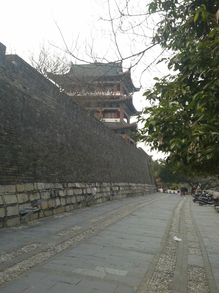 Елена Петрова | Киев