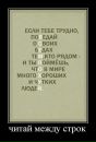 №28 Никита Бибиков : профиль, фото, статус - ВКонтакте