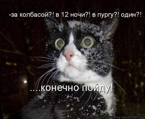 №137, Дима Черевичный, 29 лет, Харьков №137, Дима Черевичный, 29 лет, Харьков