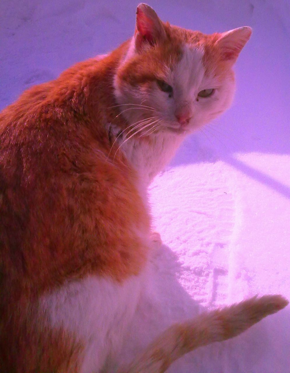 Валерия Якушева | Башмаково