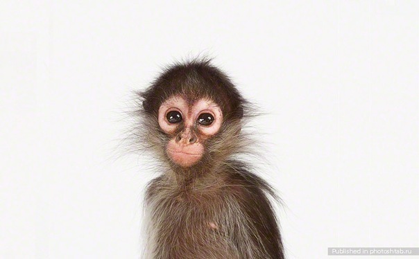 №52, Лиана Рахматуллина, 37 лет №52, Лиана Рахматуллина, 37 лет