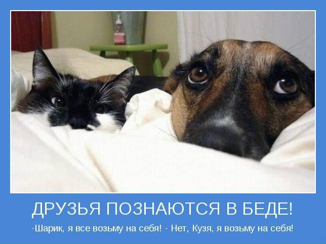 №85, Таня Костылева, Вологда №85, Таня Костылева, Вологда