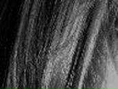 Ленусичка Бондаренко-Бойко | Ромны