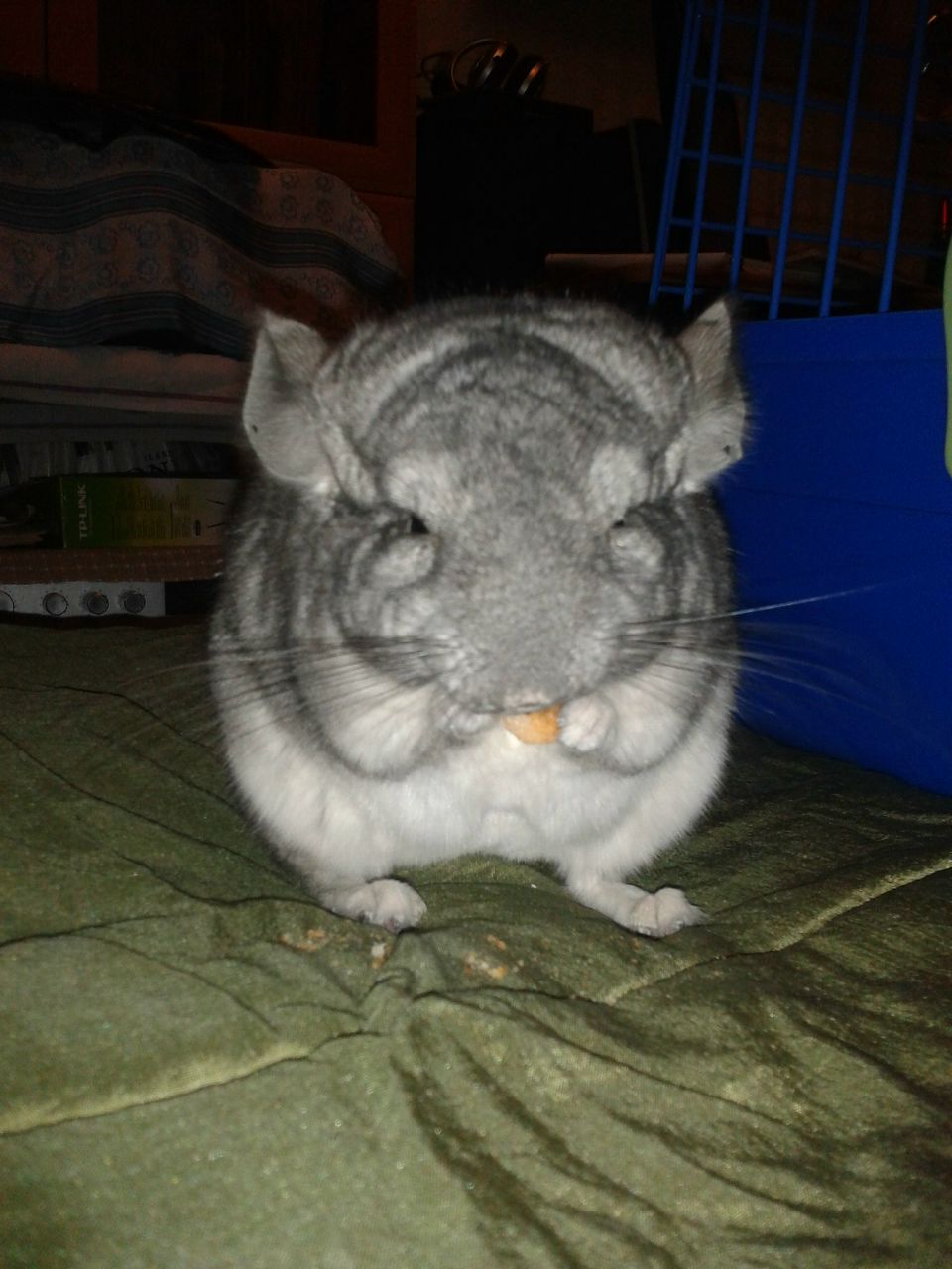 Василий Танич | Магнитогорск