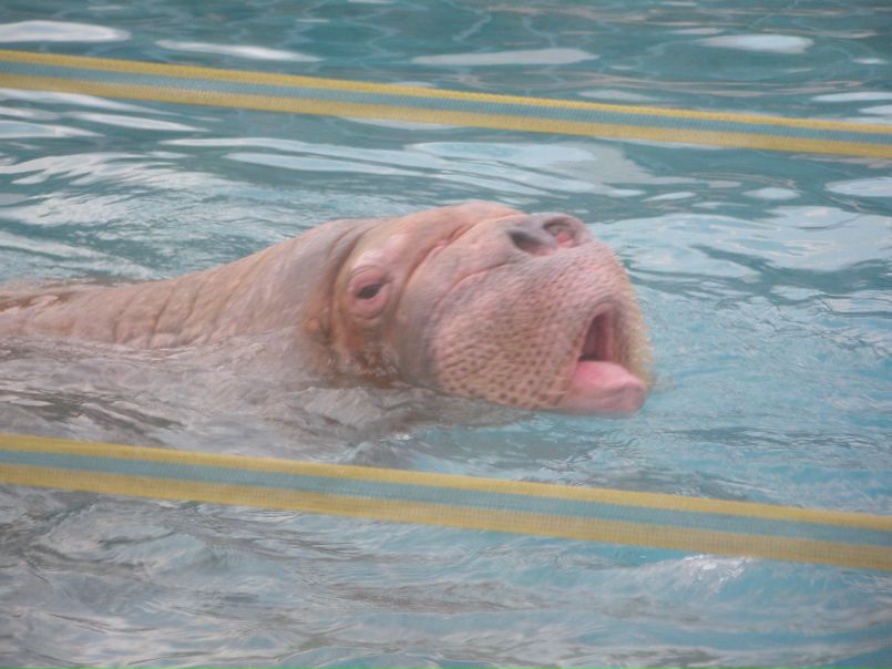 №14, Настя Антошина №14, Настя Антошина