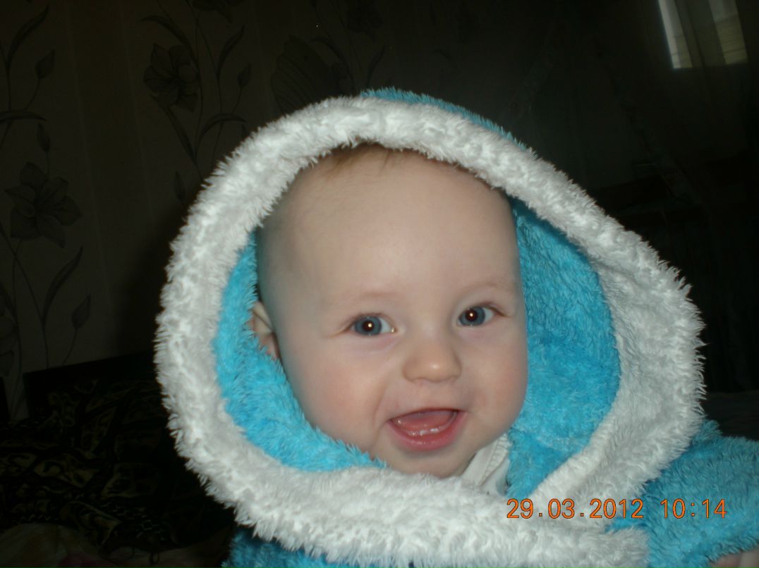 Дмитрий Кучер | Полтава