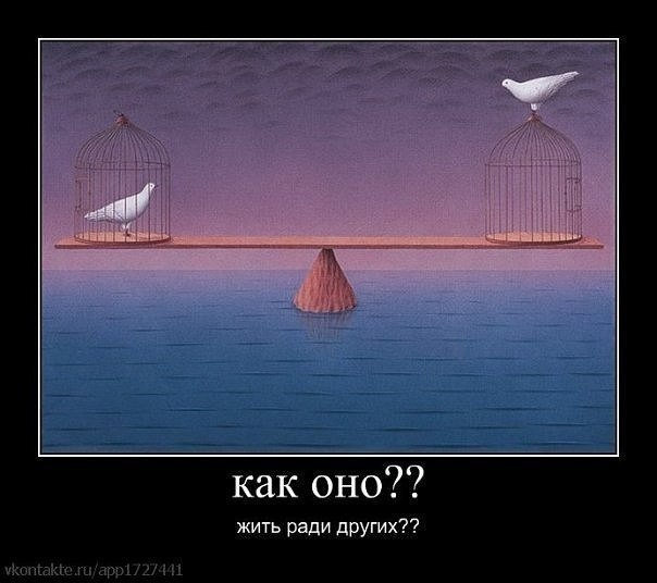 №8, Павел Новожилов, 32 года, Москва №8, Павел Новожилов, 32 года, Москва