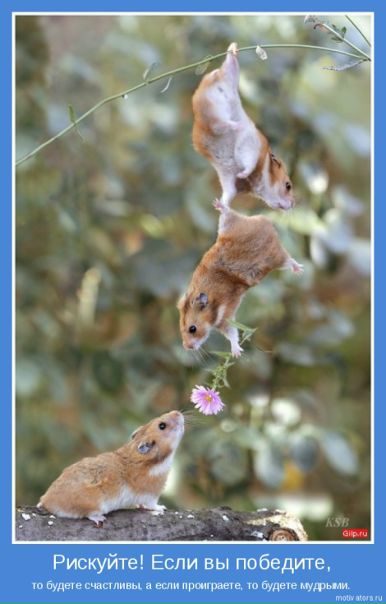 №1, Виктор Петров, Canberra Capital Hill №1, Виктор Петров, Canberra Capital Hill