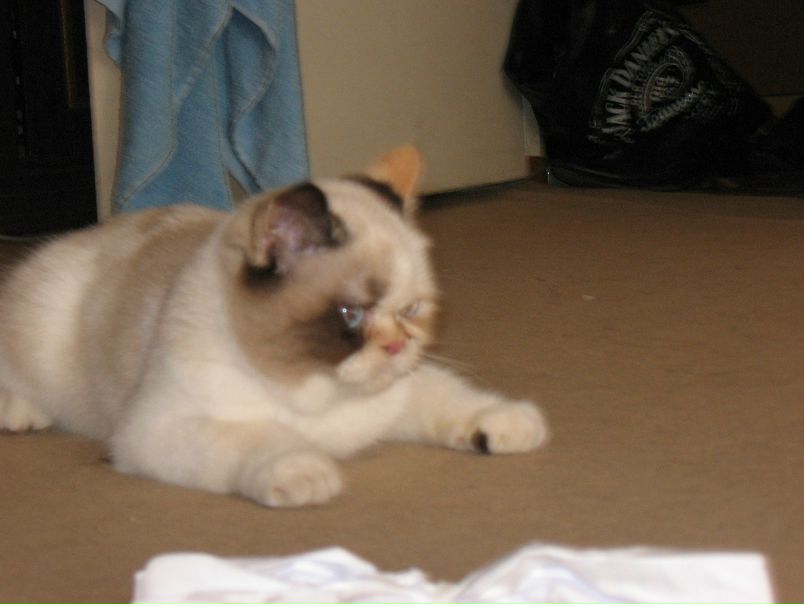 №116, Vladimir Grafchikov, 35 лет, Киев №116, Vladimir Grafchikov, 35 лет, Киев