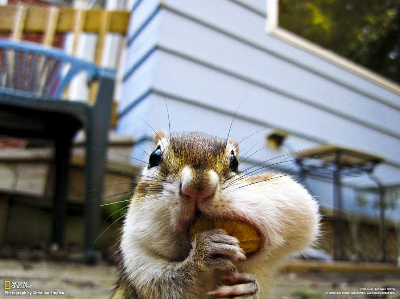 Анна Павлушина | Milano