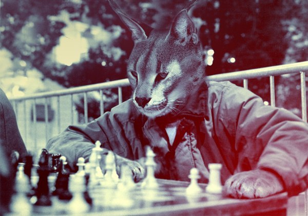 Константин Вапнярчук | Щелково