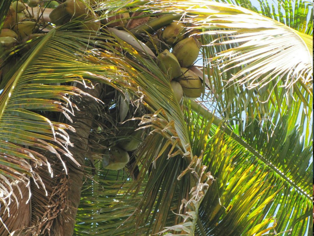 Наталия Макарова ●•●•● | Санкт-Петербург