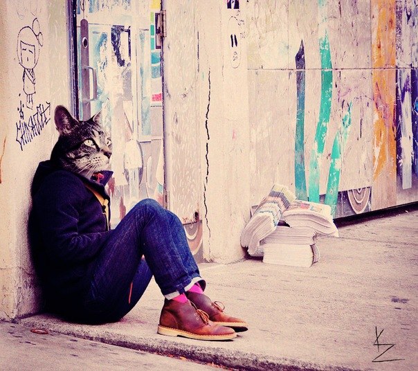 Уляна Шутовська Михайлівна | Сокаль