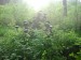 Иван Автушенко фотография #47