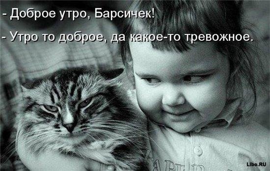 Мария Штогрин | Киев