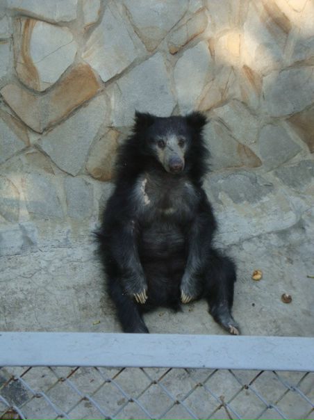 №44, Вячеслав Кулинич, 35 лет, Минск №44, Вячеслав Кулинич, 35 лет, Минск