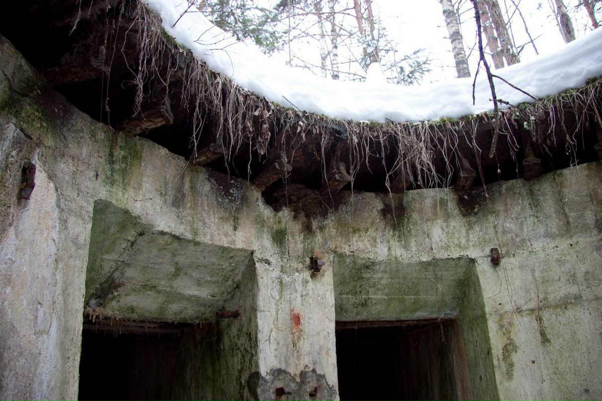 Дмитрий Паппель | Chennai