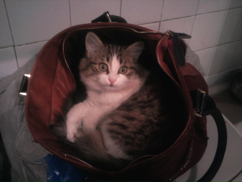 №78, Александра Быватова, Владивосток №78, Александра Быватова, Владивосток