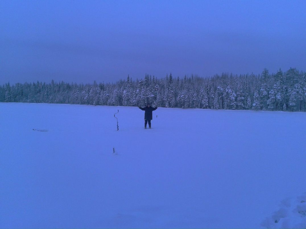 Сергей Глушко | 