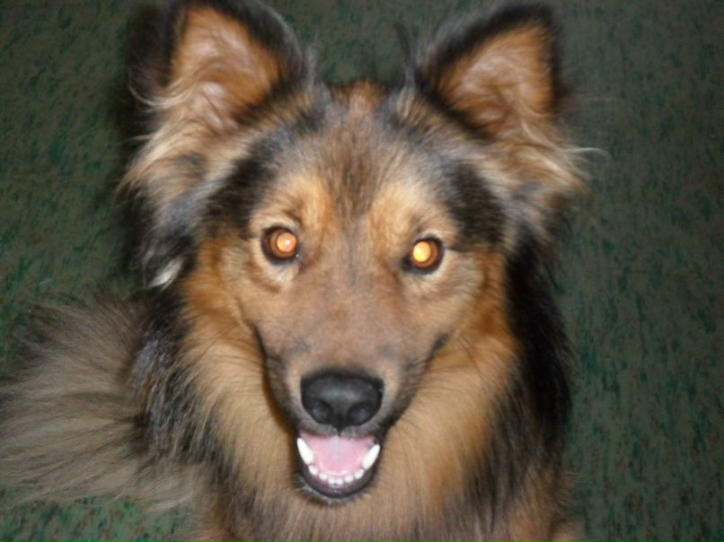 Василий Злобин | Санкт-Петербург