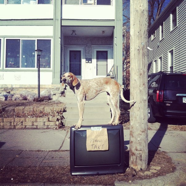 Саша Савин ВКЛ | 