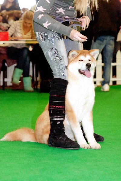 Алёна Рово | Иваново