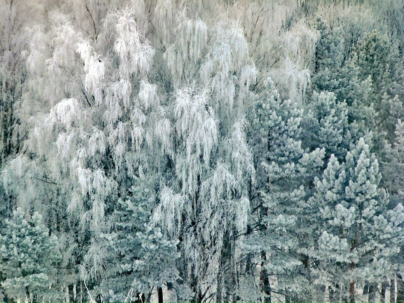 Αнатолий Αфанасьев art | Львов