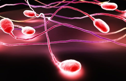 №115, Александр Мультфильмов, Санкт-Петербург №115, Александр Мультфильмов, Санкт-Петербург