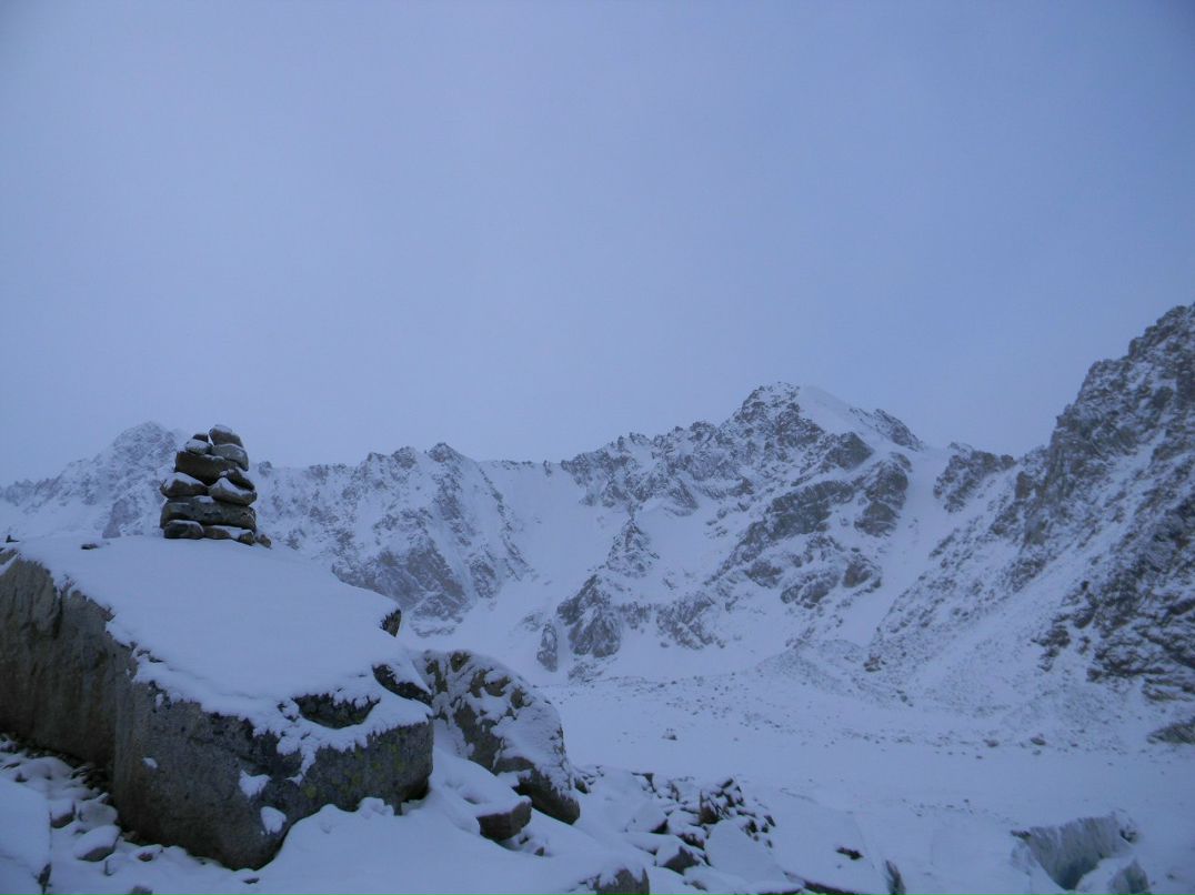 Паша Цветов | 