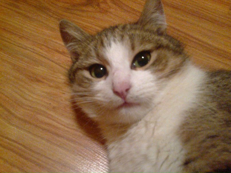 Марина Самборская | Wien