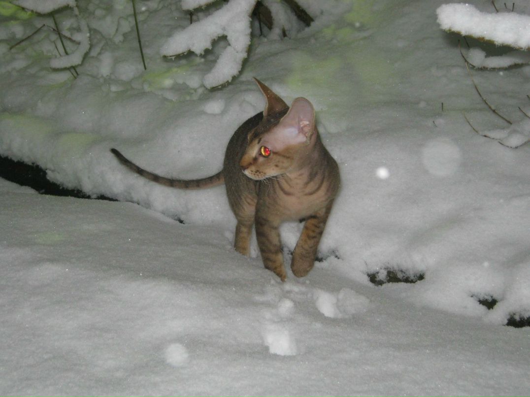 Наталья Загуляева | 