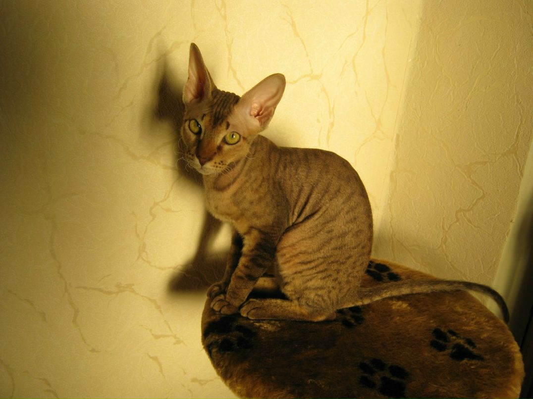 Наталья Загуляева | 