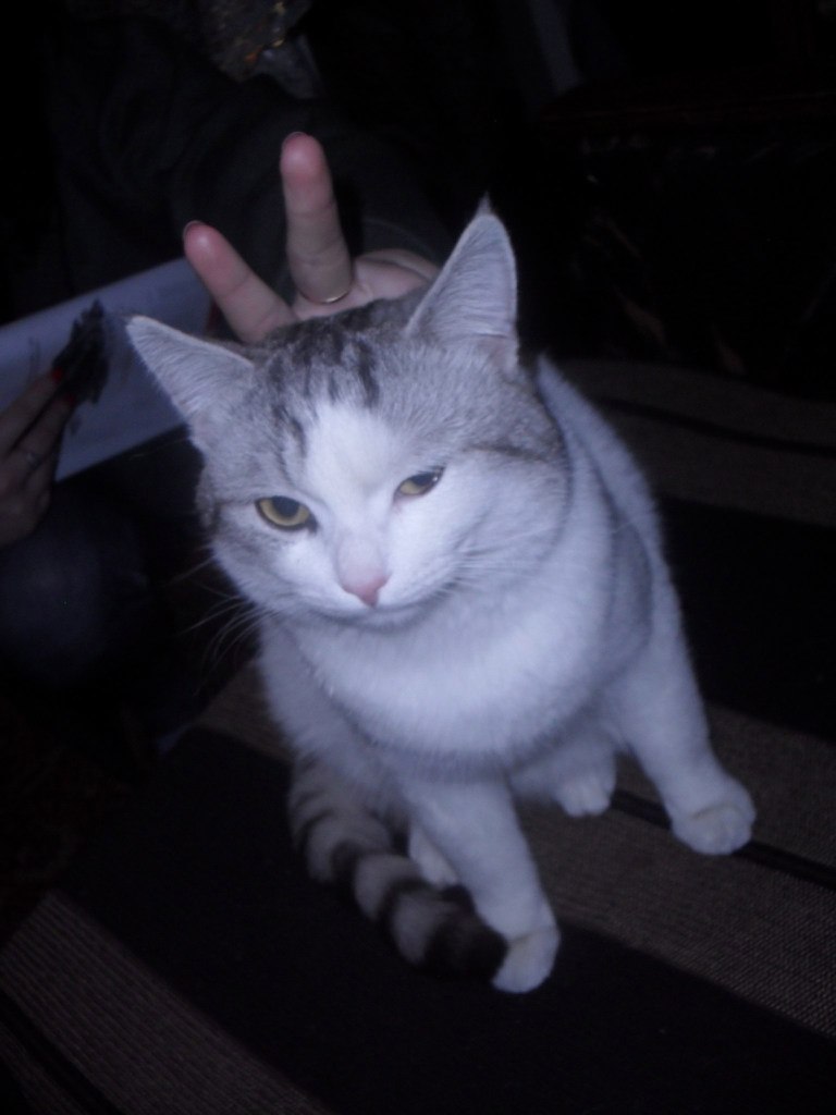 Сергей Асеев | Нижний Новгород