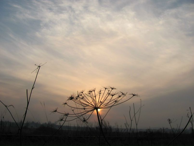 Антон Егоров | Львов