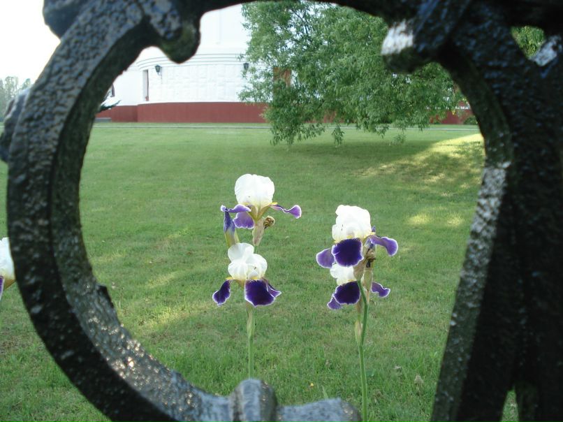 Сергей Вощенчук | Санкт-Петербург